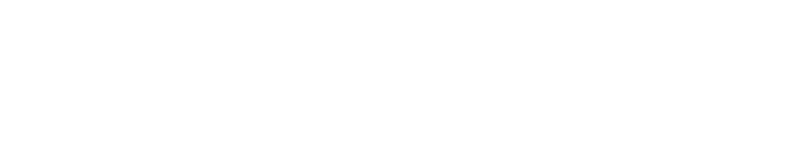 VANDIX
