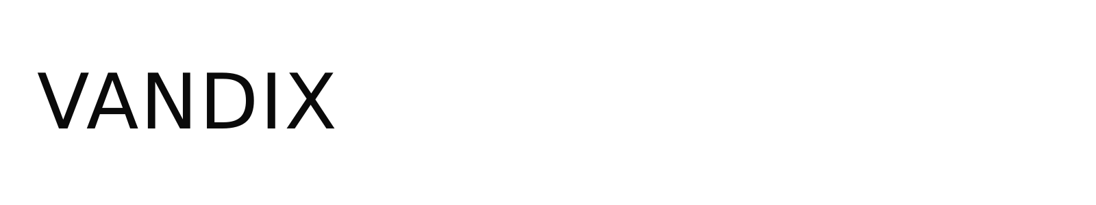 VANDIX LLC